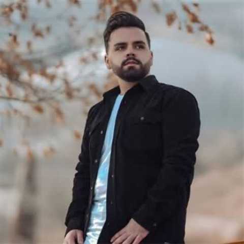 دانلود آهنگ از زمانی که واسه خودم شدی گلم محسن آقاخانی